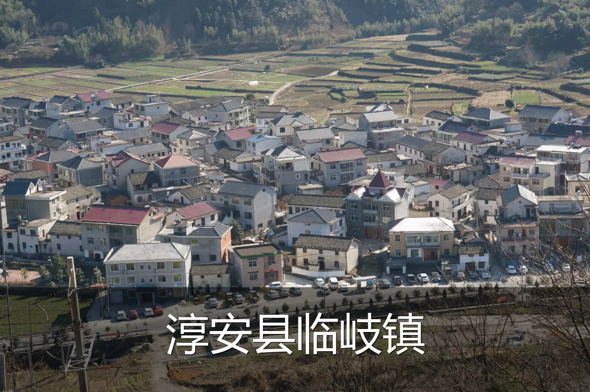 淳安县临岐镇